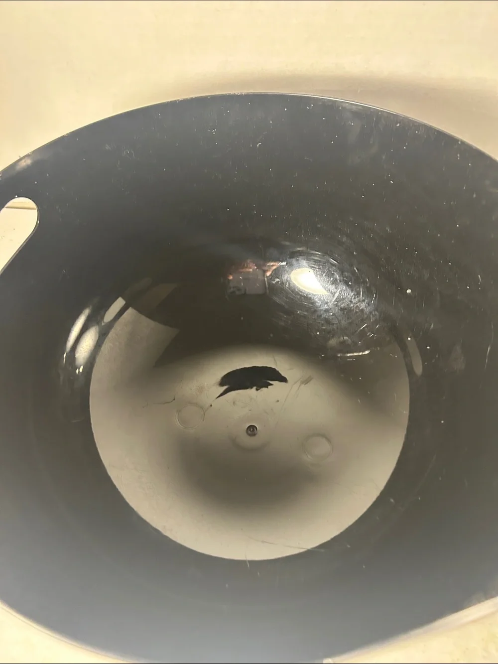 Black Cat Pet Bowl with Green Eyes and Orange Ears